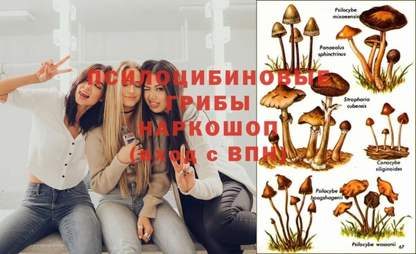ешки Дмитров