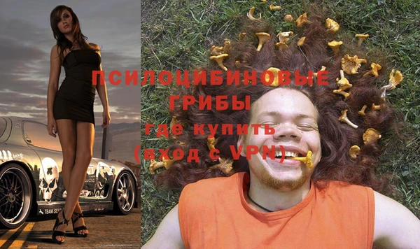 гидропоника Дмитровск