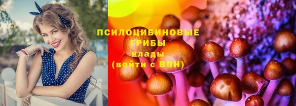 гидропоника Дмитровск