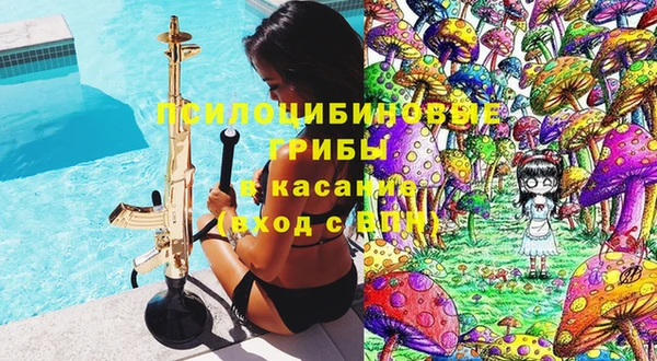 первитин Дмитриев