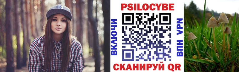 Купить закладки  Киселёвск  Псилоцибиновые грибы мухоморы 